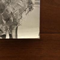 [英]the oxford companion to the photograph