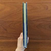 家族狂 横尾忠則collection 中毒