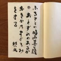 胡蝶夢