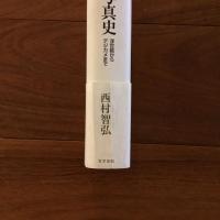 日本芸術写真史: 浮世絵からデジカメまで (美学叢書 5)