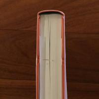 ほほづゑをつきながら 物書き十六年の歩み