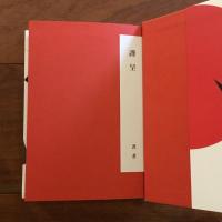 光のプロジェクト 写真、モダニズムを超えて