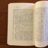 川は誰のものか 歴史文化ライブラリー 205