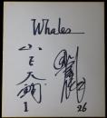 大洋ホエールズ山下大輔・田代富雄寄書サイン色紙