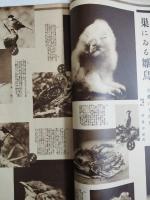 アサヒグラフ １９３５年５月１日号