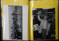 アルフレッド・ハウゼ自筆サイン色紙　Alfred Hause