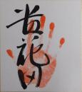 貴花田手形色紙（後横綱貴乃花）