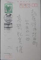 菊村到自筆葉書