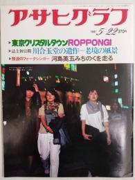 アサヒグラフ １９８１年５月２２日号