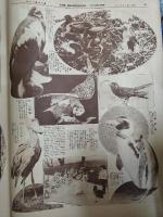 アサヒグラフ １９２７年３月２３日号