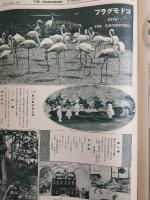 アサヒグラフ １９２８年１０月１７日号