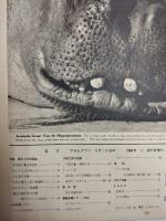 アサヒグラフ １９６０年３月１３日号