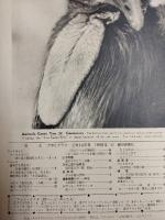 アサヒグラフ １９６０年２月１４日号