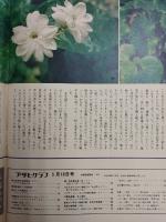アサヒグラフ １９７４年５月１０日号