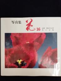 花 : 写真集