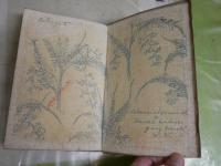 ホイットマン詩集　第二輯　　ウォルト・ホイットマン著　有島武郎訳　初版　　裸本　ヤケシミ汚多し　難痛有　書込み有　L1右中　　送料300円