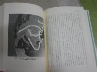 ノアの洪水　　ウイリアム・ライアン　ウォルター・ピットマン著　戸田裕之訳　　1刷帯　小口天シミ有　レターパックプラス送付　S3右2