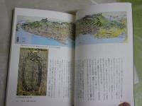 古地図が語る大災害　　絵図・瓦版で読み解く～　　本渡章著　　1版1刷　折込付録付　送料300円　　S3右2