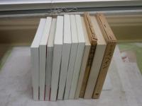 モンゴロイド・ティムール・スペイン・マヤ・アンデス・クビライに関する選書・全書・NHKブックス9冊セット　・ヨーロッパ科学史の旅　高野義郎　・スペイン　ビーベス　・モンゴル帝国誕生　白石典之　・ティムール帝国　川口琢司　・クビライの挑戦　杉山正明　・モンゴロイドの道　科学朝日編　・マヤアンデス琉球　青山和夫ほか　　計9冊セット　ヤケシミ汚有　レターパックプラス送付　H2左4