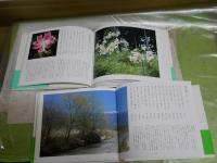 四季の百花譜　カラー版歳時記　全4巻　初版・3刷函帯　　ヤケシミ汚有　ゆうパック送付　E2右上段