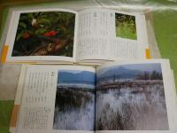 四季の百花譜　カラー版歳時記　全4巻　初版・3刷函帯　　ヤケシミ汚有　ゆうパック送付　E2右上段