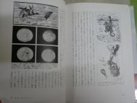 フュミスム論　　田中晴子著　初版1刷帯　R2右下　　送料300円