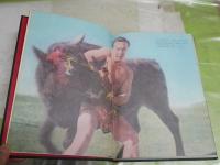 ダイナミック空手　　大山倍達著　　5版　　カバーヤケシミ汚難痛多し　本体小口ヤケシミ汚難有　G2右下段　レターパックライト送付
　