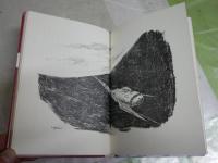 宇宙怪人ザロ博士の秘密　　少年少女世界SF文学全集18　　エドモンド・ハミルトン作　内田庶訳　1刷　　裸本　ヤケシミ汚難有　G4右中　送料300円