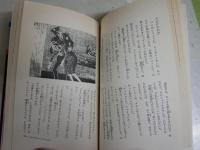 手帳の秘密　ナンシー・ドルー・シリーズ1　カロリン・キーン著　大場恒子・ジャンマケーレブ共訳　　3版　小口ヤケシミ汚有　　カバー背褪色有　送料300円　G4右中