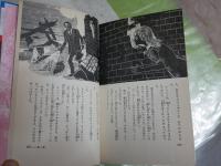 手帳の秘密　ナンシー・ドルー・シリーズ1　カロリン・キーン著　大場恒子・ジャンマケーレブ共訳　　3版　小口ヤケシミ汚有　　カバー背褪色有　送料300円　G4右中