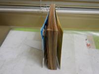 ぱふ　まんが専門誌　　特集坂口尚　　おおやちきの世界　　6巻11号　通巻57号　ヤケシミ汚難痛有　E9右中