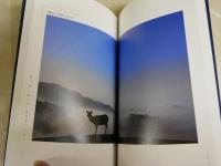 日本人よ、かくあれ　　大和の森から贈る、48の幸せの見つけ方　　岡本彰夫・文　保山耕一・写真　初版1刷帯　新書　K1左1　送料300円