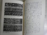 黒い聖母と悪魔の謎　キリスト教異形の図像学　　馬杉宗夫著　1刷　講談社現代新書　　送料300円　K1左1