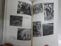 黒い聖母と悪魔の謎　キリスト教異形の図像学　　馬杉宗夫著　1刷　講談社現代新書　　送料300円　K1左1