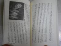 ゾロアスターの神秘思想　　岡田明憲著　　3刷　少汚有　講談社現代新書　送料300円　　K1左1