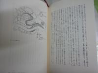 ヴェネツィア　　栄光の都市国家　　饗庭孝男　陣内秀信　山口昌男著　1刷帯送料300円　少汚有　H2左5