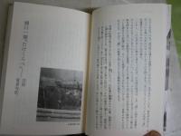 文学の街　　名作の舞台を歩く　　前田　愛著　初版1刷　　少汚少難　小学館ライブラリー　送料300円　K1左
