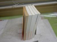 新書5冊セット　・スコットランド歴史を歩く　高橋哲夫　・大英帝国　長島伸一　・ブルゴーニュ家　堀越孝一　・物語スペインの歴史人物篇　岩根圀和　・コンスタンティノープル千年　渡辺金一　　ヤケシミ汚有　蔵印1冊有　送料300円　K1左1