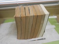 歴史と旅6冊　歴史読本2冊　計8冊セット　・大名総覧　・苗字総覧　・苗字のルーツを訪ねて　・日本の家元　・日本史365日臨終総覧　・日本史疑惑の重大事件100殺人迷宮陰謀　・目撃者が語る日本史の決定的瞬間　・日本史ナンバーワン物語　ヤケシミ汚多し難有　　ゆうパック送付　E4左