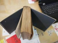 水蔭叢書　江見水蔭著　明治43年8月　初版　裸本　1010頁　ヤケシミ汚難痛有　J2右1　送料520円