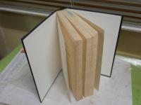 The　Penguin　Book of LIES   PHILIP KEER  　　英文ハードカバー　ヤケシミ多し　汚有　　1頁1行線引き有　レターパックプラス送付　S2左1
