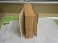 A HISTORY OF THE JEWS   PAUL JOHNSON  ペーパーバック　ヤケシミ汚多し難痛有　レターパックプラス送付　L1左

