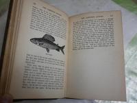 THE COMPLEAT　ANGLER 　　IZAAK WALTON　　　ハードカバー　ヤケシミ汚難有　レターパックプラス送付　L2　