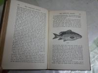 THE COMPLEAT　ANGLER 　　IZAAK WALTON　　　ハードカバー　ヤケシミ汚難有　レターパックプラス送付　L2　