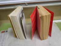 RICHARD　DAWKINS　英文ペーパーバック2冊セット　・THE GOD　DELUSION　2007年　・AN APPETTITE　FOR　WONDER　2013年　ヤケシミ多し汚難有　レターパックプラス送付　線引き1頁有　S2左1