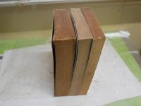 JOSEPH　HELLER　ジョセフヘラー　3冊ペーパーバックセット　・PICTURE　THIS　・GOD KNOWS　・CATCH22　　ヤケシミ汚多し汚難有　レターパックプラス送付　L2