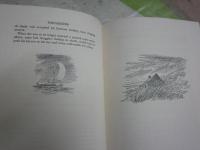 OCCASIONS　　　DOROTHY　HAMMOND　INNES　　英文ハードカバー　ヤケシミ汚難有　G2右　送料300円