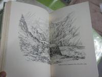 OCCASIONS　　　DOROTHY　HAMMOND　INNES　　英文ハードカバー　ヤケシミ汚難有　G2右　送料300円