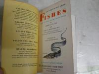 FISHES　A　GUIDE TO　FAMILIAR 　AMERICAN　SPECIES　英文ペーパーバック　文庫　ヤケシミ汚難痛有　K3中　送料300円