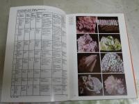 MINERALS　ROCKS　AND　PRECIOUS　STONES　　英文ハードカバー　ヤケシミ汚難痛有　送料300円　S1右3